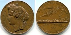 Памятная медаль "В память 100-летия образования министерства финансов Франции(1789-1889)"